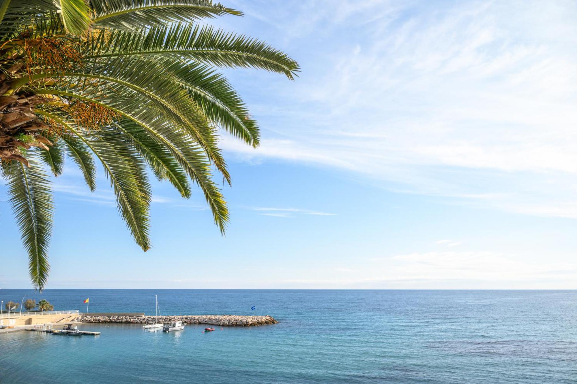 Le Coq Ligures - Air Conditioning - Seafront - Wifi Roquebrune-Cap-Martin Εξωτερικό φωτογραφία